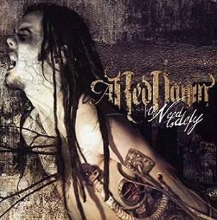 A Red Dawn : The Need to Defy